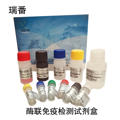 人甲状旁腺激素(PTH)ELISA试剂盒