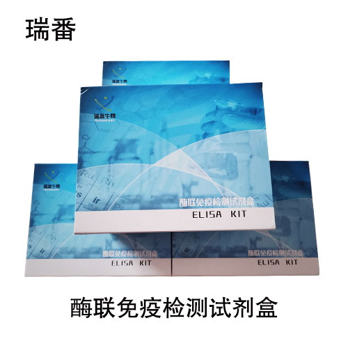 小鼠血管生长素(ANG) ELISA 试剂盒