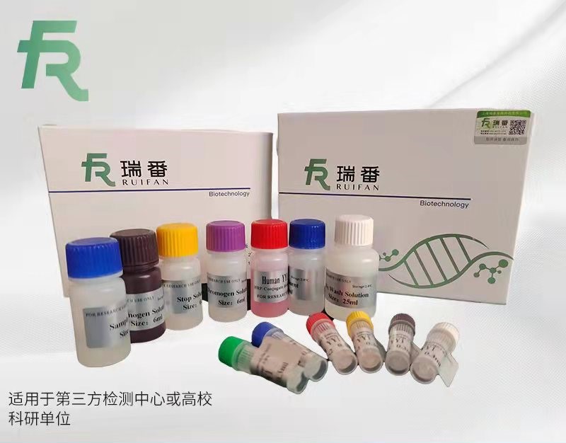 大鼠中脑星形胶质细胞来源神经营养因子(MANF)ELISA试剂盒